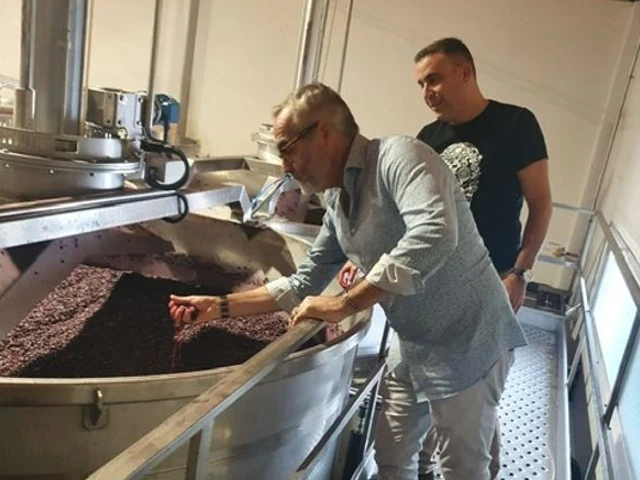 Deux hommes sont penchés sur une cuve contenant du raisin destiné à la fabrication de vin